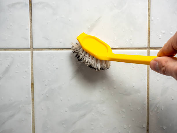 Best Insurance-Related Mold Remediation in Fairfield, AL