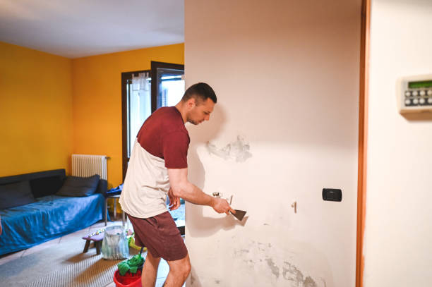 Best Post-Flood Mold Remediation in Fairfield, AL